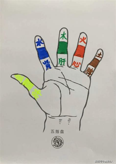 五指代表